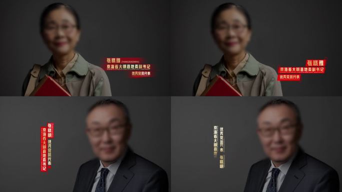 简约金色人名条 字幕条合集