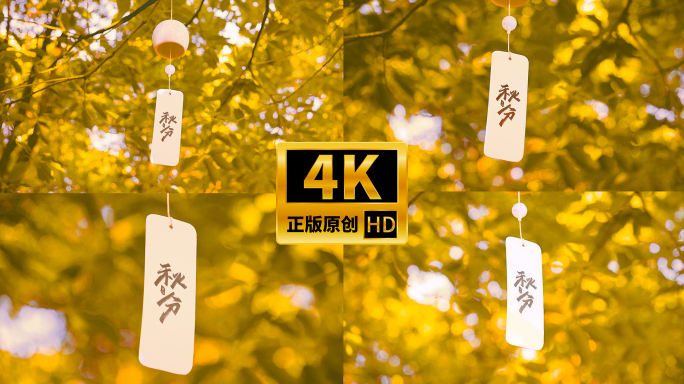 秋分节气传统节日立秋秋天唯美空镜4k视频