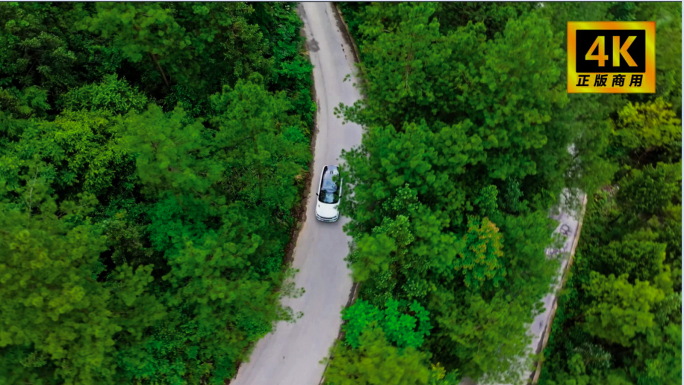 航拍森林汽车航拍森林公路汽车广告