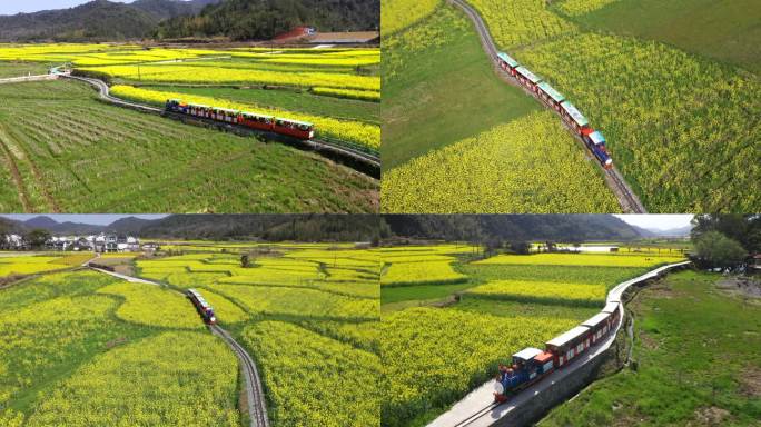 江西婺源 严田小火车 油菜花田 航拍4K
