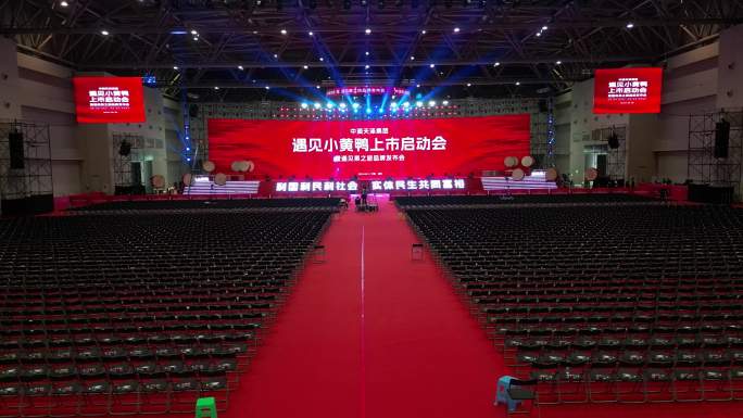 重庆悦来遇见小黄鸭上市启动会万人大会航拍