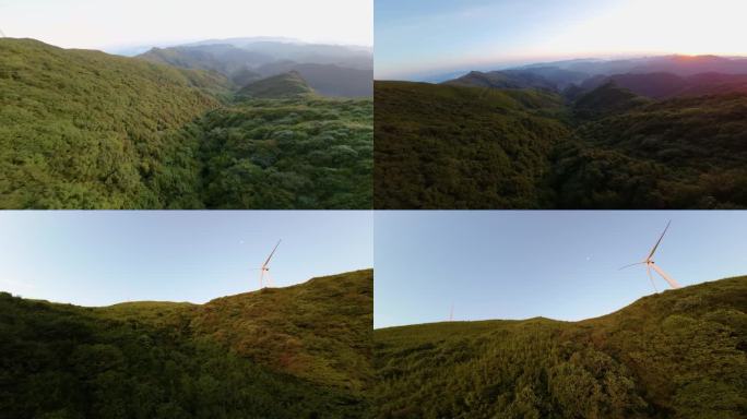 山脊日出、雨林、大山、大自然、滑翔