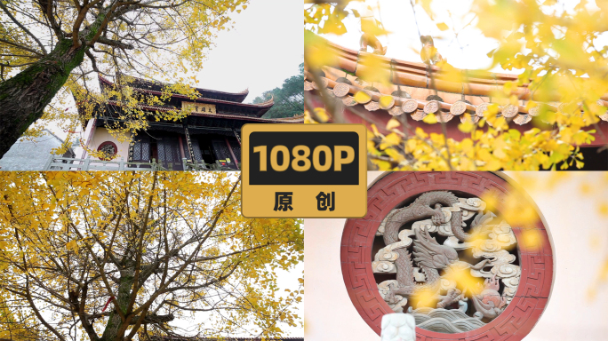 秋天银杏寺庙意境佛像禅意