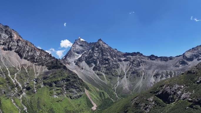 四姑娘山双桥沟景区红杉林