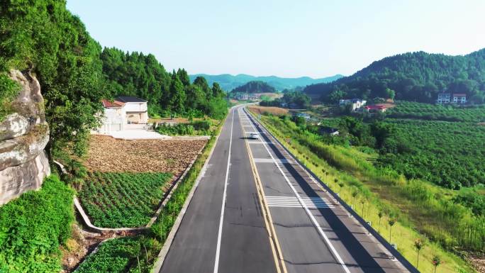四川省资阳市安岳县卧佛路旅游大道