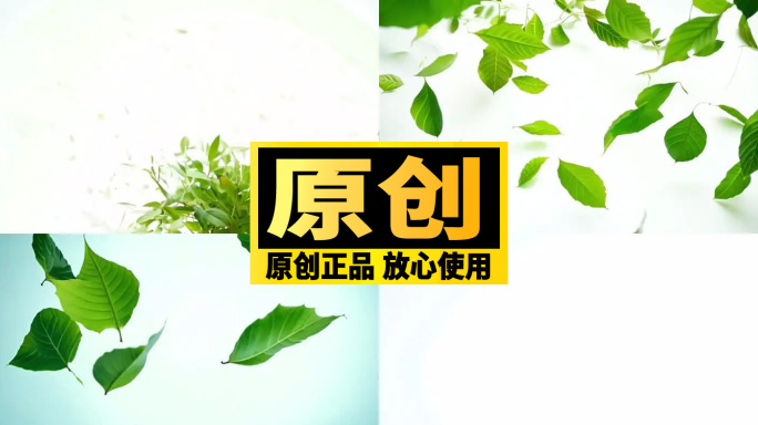 中国茶 绿色茶叶爆炸特效素材