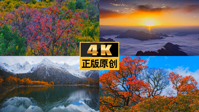 秋天立秋森林大美中国自然风景风光美丽中国