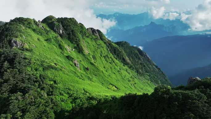 神农架高山草甸悬崖云海航拍