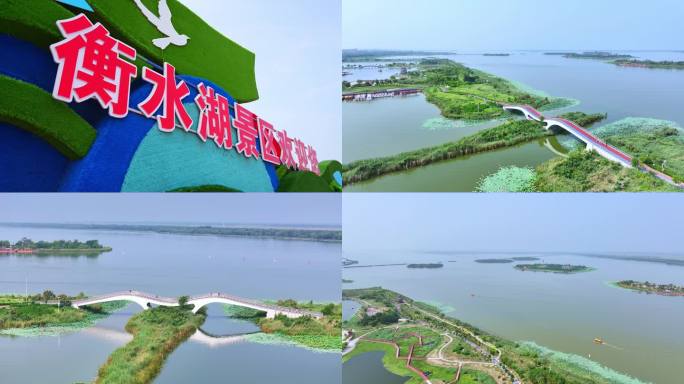 衡水湖