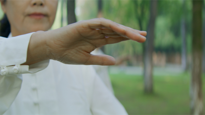 太极 清晨公园打太极