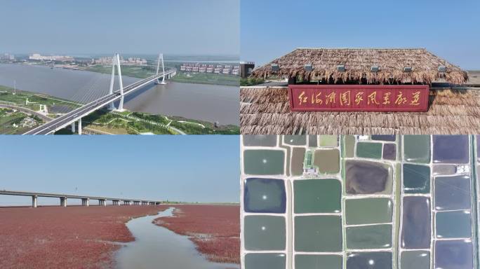大洼区