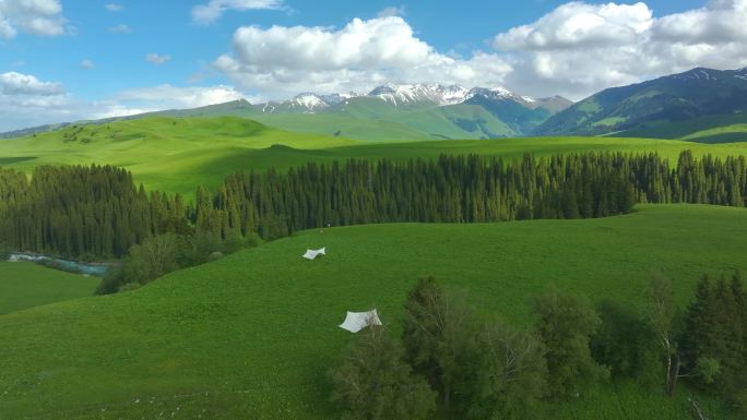 新疆百里画廊雪山草地