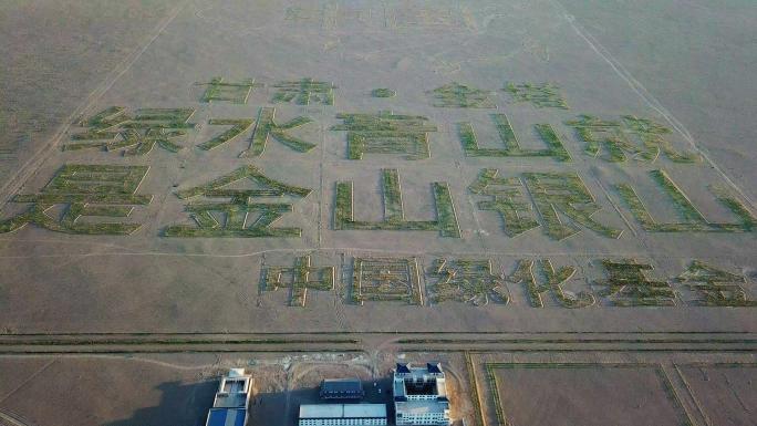 甘肃金塔县蚂蚁森林梭梭树治沙工程