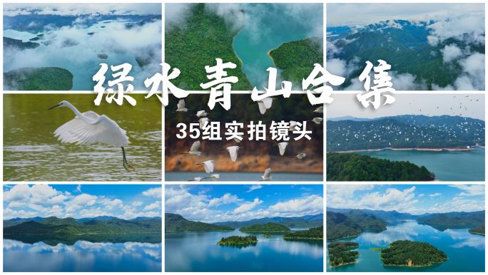绿水青山 山水延时 白鹭 鸟 大自然