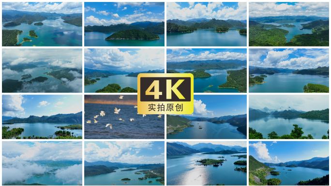 绿水青山 山水延时 白鹭 鸟 大自然