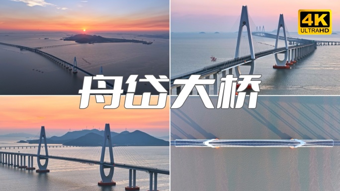 舟岱大桥 舟山跨海大桥