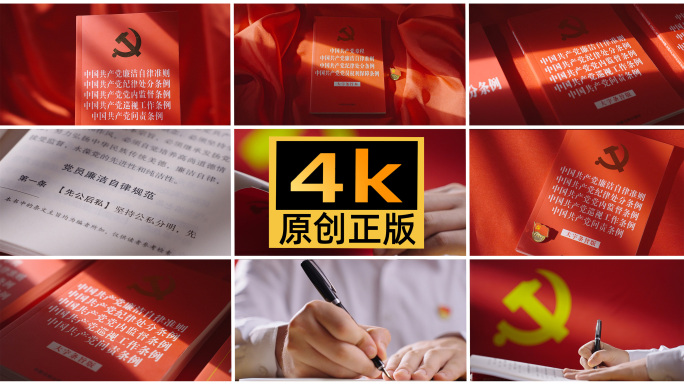 廉洁自律问责条例 反腐廉政党建