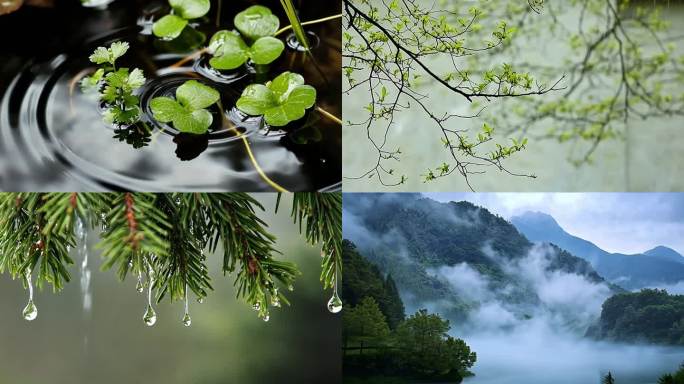 清明雨上 初春