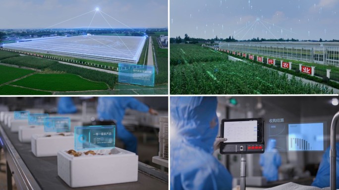 AE模板 现代农业 物流分拣仓储