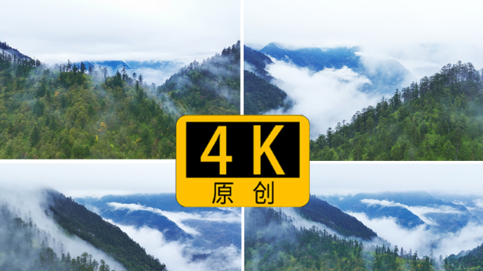高山森林云雾航拍