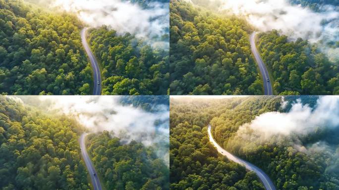 4K航拍汽车森林道路