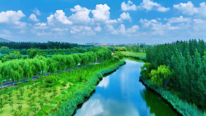 初秋美景 齐鲁 山东 自然美景 航拍