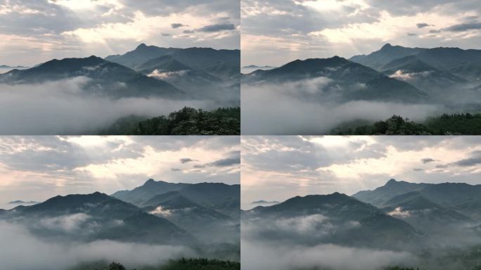 连绵群山绿，油桐花如雪，桐花童话