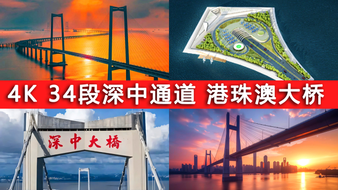 桥梁 深中通道 港珠澳大桥 大国重器基建