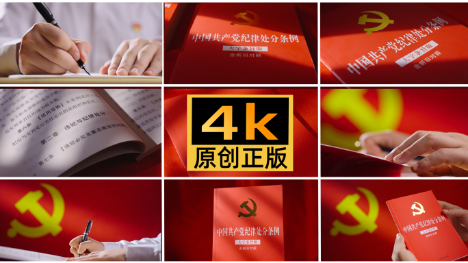 纪律处分条例廉政 中国共产党纪律处分条例