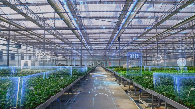 AE模板 科技大棚 智慧大棚 现代农业