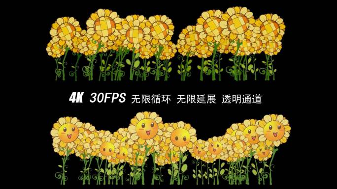 4K 2款卡通向日葵循环动画