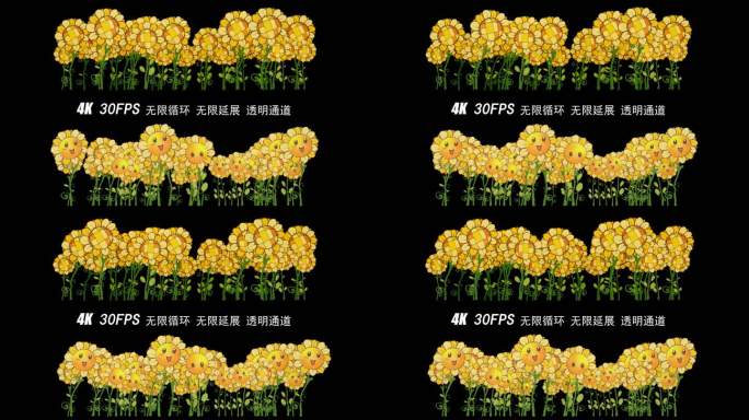 4K 2款卡通向日葵循环动画