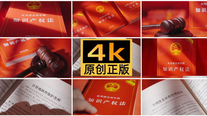 知识产权法 专利