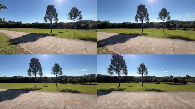 在树木繁茂的公园里有一条方便的步道