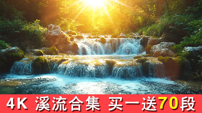 森林小溪流水溪流雨林山水生态