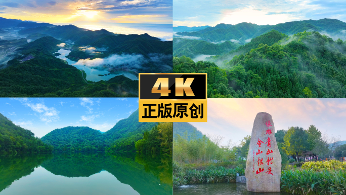 树林森林余村绿水青山树木大树竹林护林树林