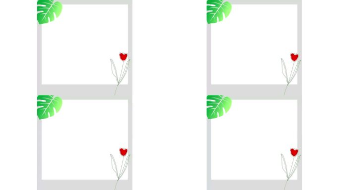 自然帧动画。花卉帧动画与关键颜色。妇女节、情人节、婚纱节相框。插画，卡通花框。