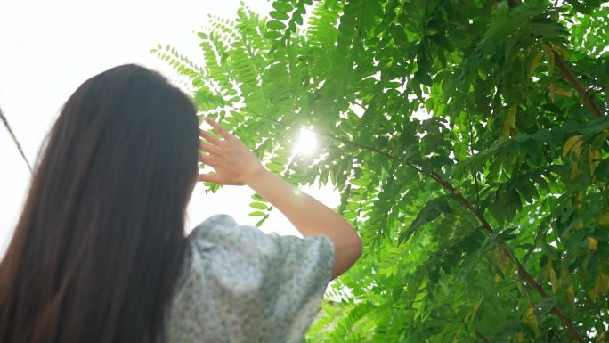 背影 行走 文化 观看