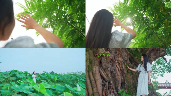 背影 行走 文化 观看