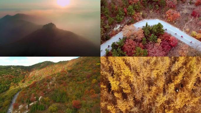 莱州 红叶 航拍 大杨山 航拍