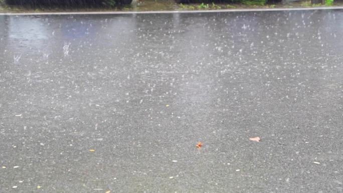 暴雨来临 狂风暴雨