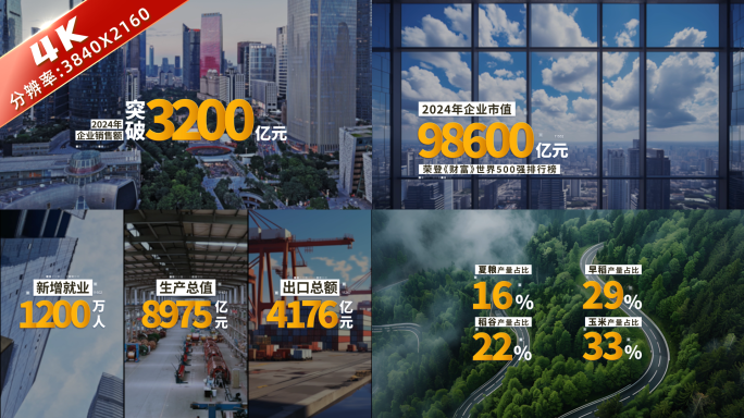 4K 简洁文字数据字幕 04