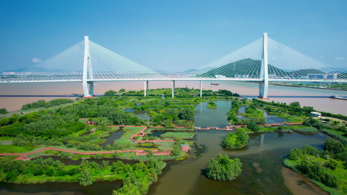 芒洲湿地公园