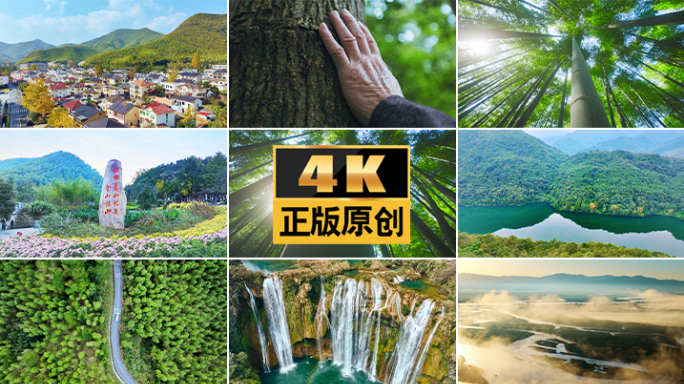 余村森林绿水青山安吉余村