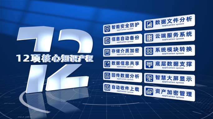 （12）蓝色企业项目应用十二分类展示