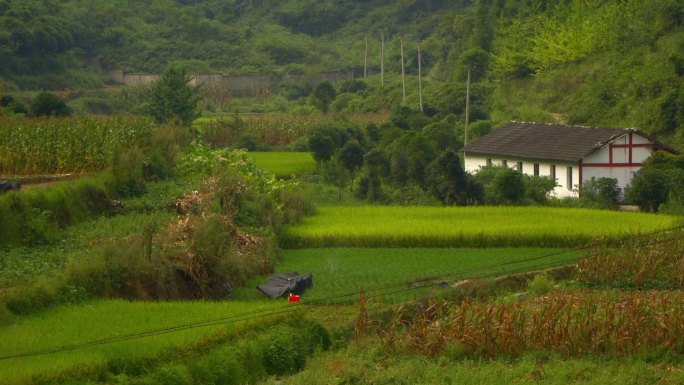 娄山关田野中的村庄