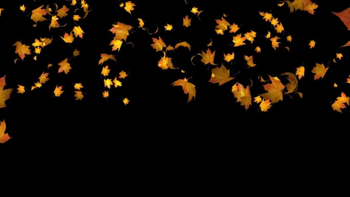 落叶飘落秋天动画（原创）Alpha通道