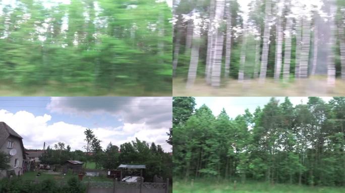 从行驶中的火车上看，白桦林和乡村经过