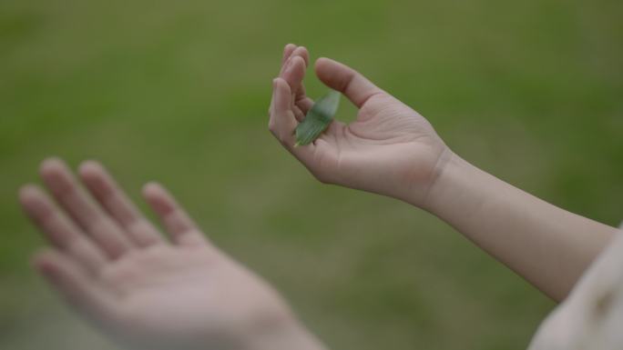 女孩与蝴蝶竹林蝴蝶飞舞人与自然