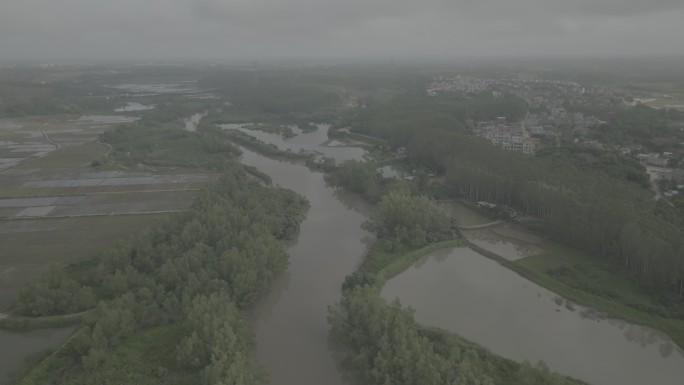 湛江红树林4k航拍